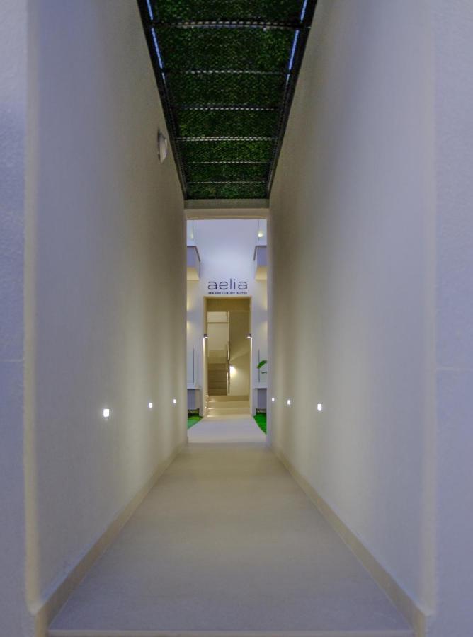 Aelia Seaside Luxury Suites Nea Karvali Exterior photo