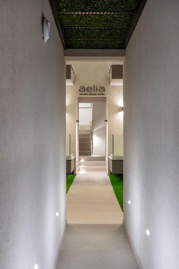 Aelia Seaside Luxury Suites Nea Karvali Exterior photo
